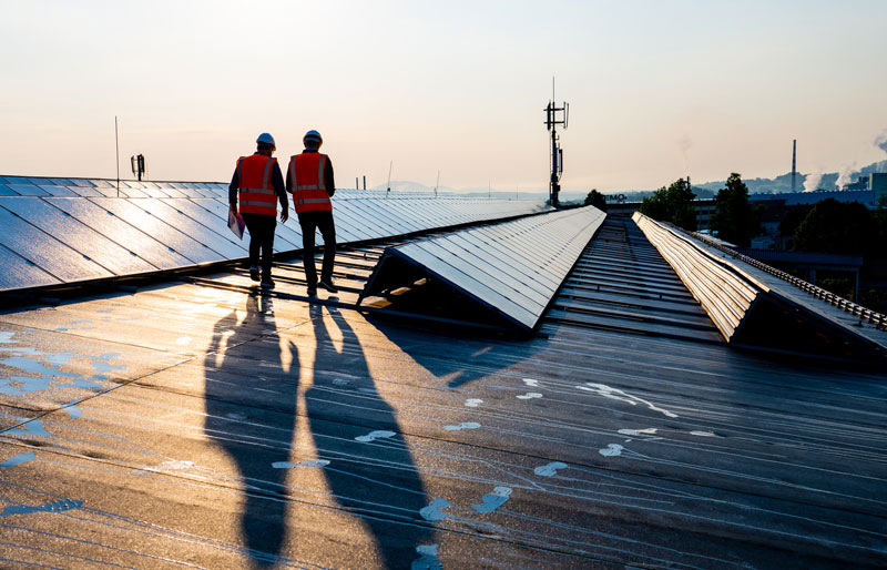 Presupuesto personalizado